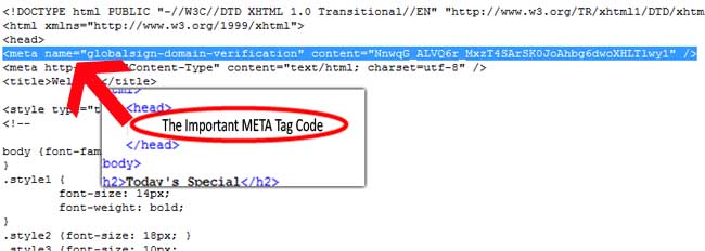 code on page meta-tag