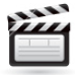 Video Support