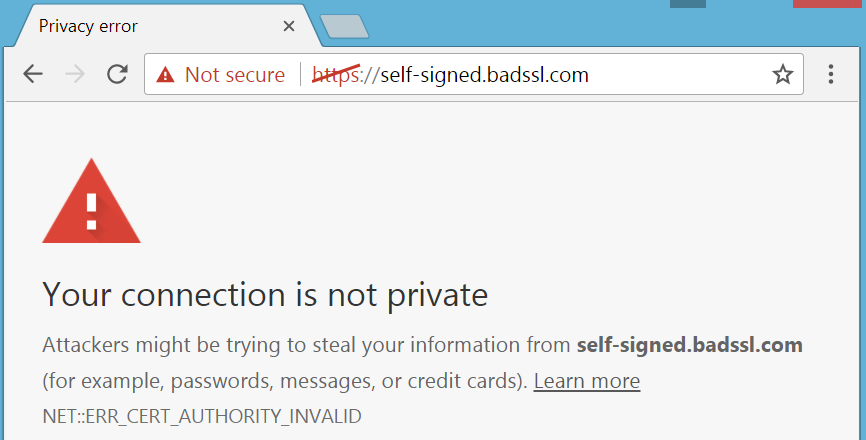 Warning message for self-signed or untrusted roots in Chrome 