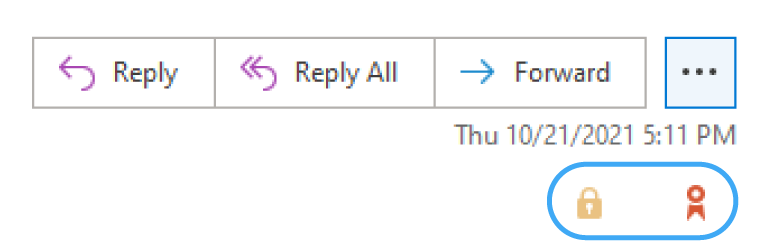 email-secured-1.png