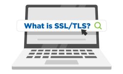 Yes, Your Website Needs an SSL/TLS Certificate.