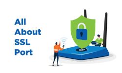 Securing Internet Connection: All about the SSL Port or Secured Ports