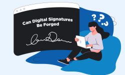 Can Digital Signatures Be Forged?